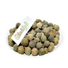 Majuphal - माजूफल - Gallnut - Quercus infectoria