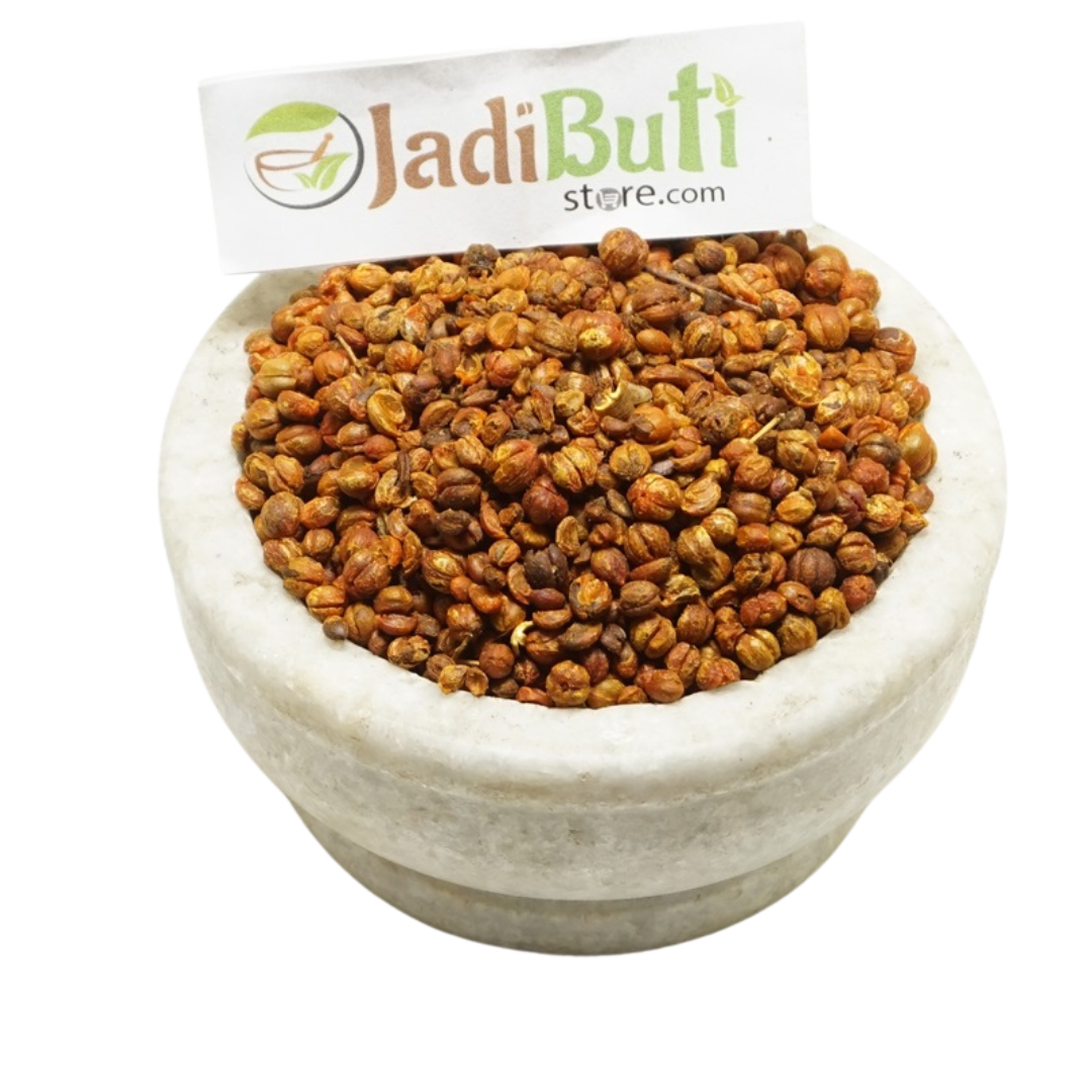 Malkangni seeds (Celastrus paniculatus) - Jadibuti Store