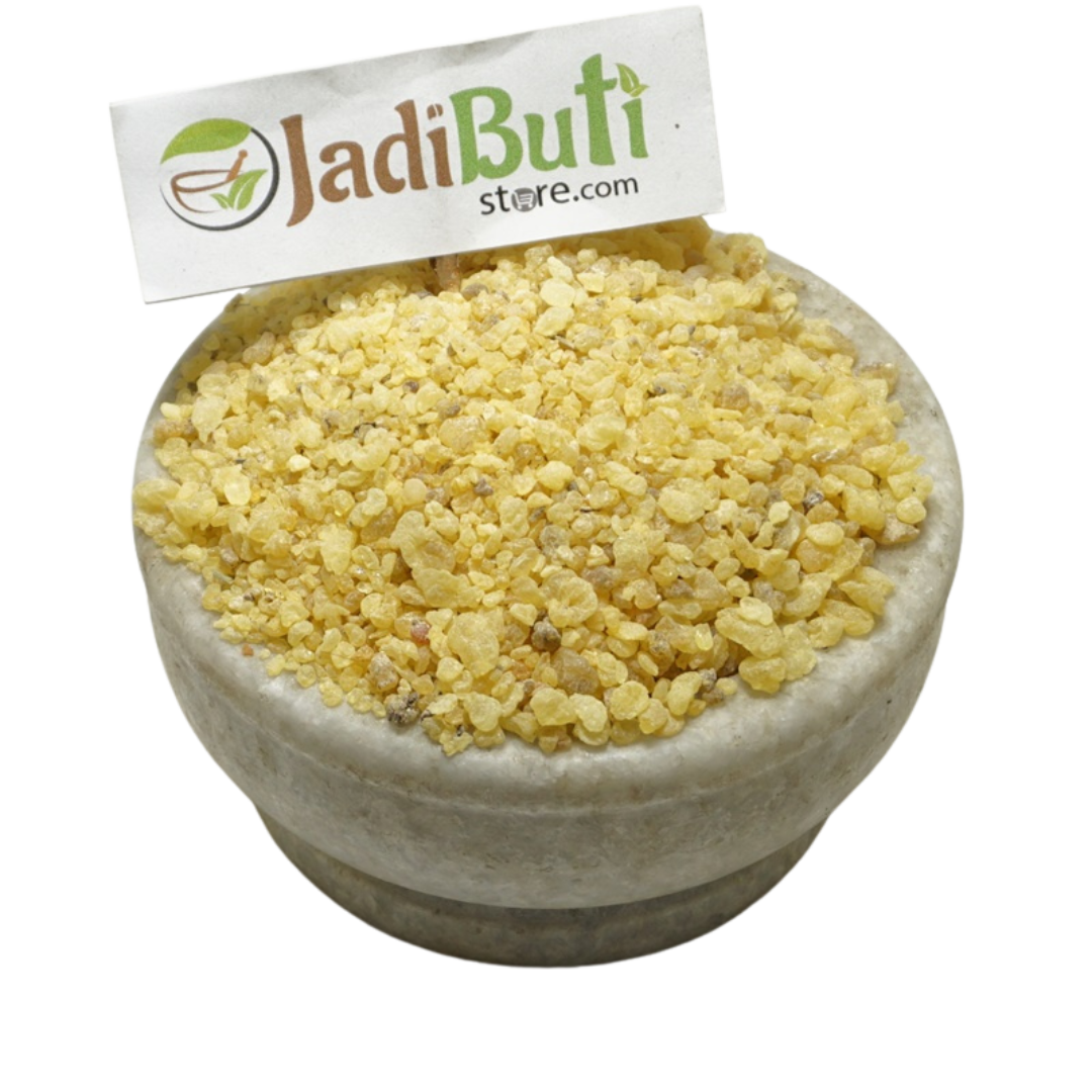 Mastagi Rumi - मस्तगी रूमी - Mastic Gum - Pistacia lentiscus