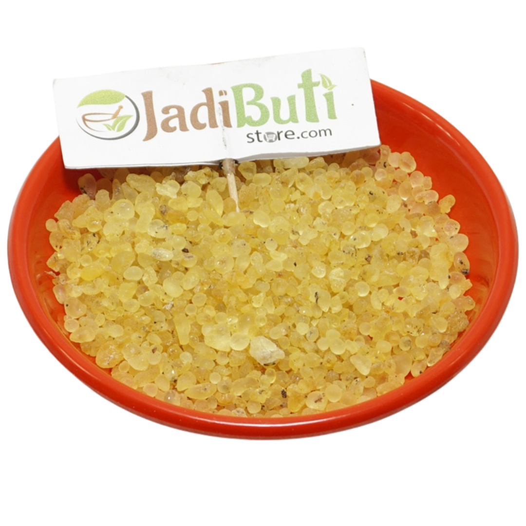 Mastagi Rumi - मस्तगी रूमी - Mastic Gum - Pistacia lentiscus