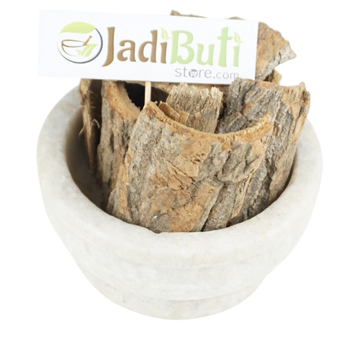 Molesari Chhal / Bakula Bark | मौलसरी छाल | Mimusops elengi