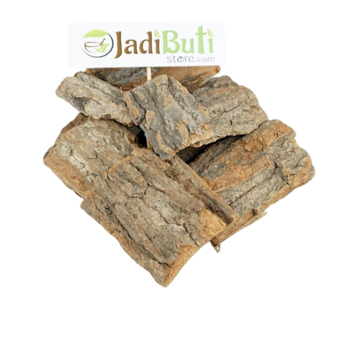 Molesari Chhal / Bakula Bark | मौलसरी छाल | Mimusops elengi