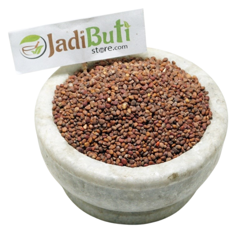 Muli Beej / Radish Seeds (Raphanus sativus) - Jadibuti Store