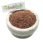 Muli Beej / Radish Seeds (Raphanus sativus) - Jadibuti Store