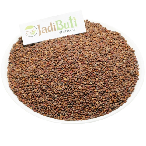 Muli Beej / Radish Seeds | मूली बीज | Raphanus sativus