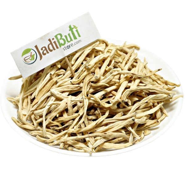Musli (Safed Musli) - सफ़ेद मूसली - White Musale - Chlorophytum Borivilianum
