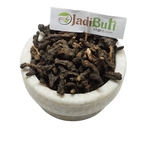 Nagarmotha dark brown dried rhizome material in a stone bowl — Jadibuti Store