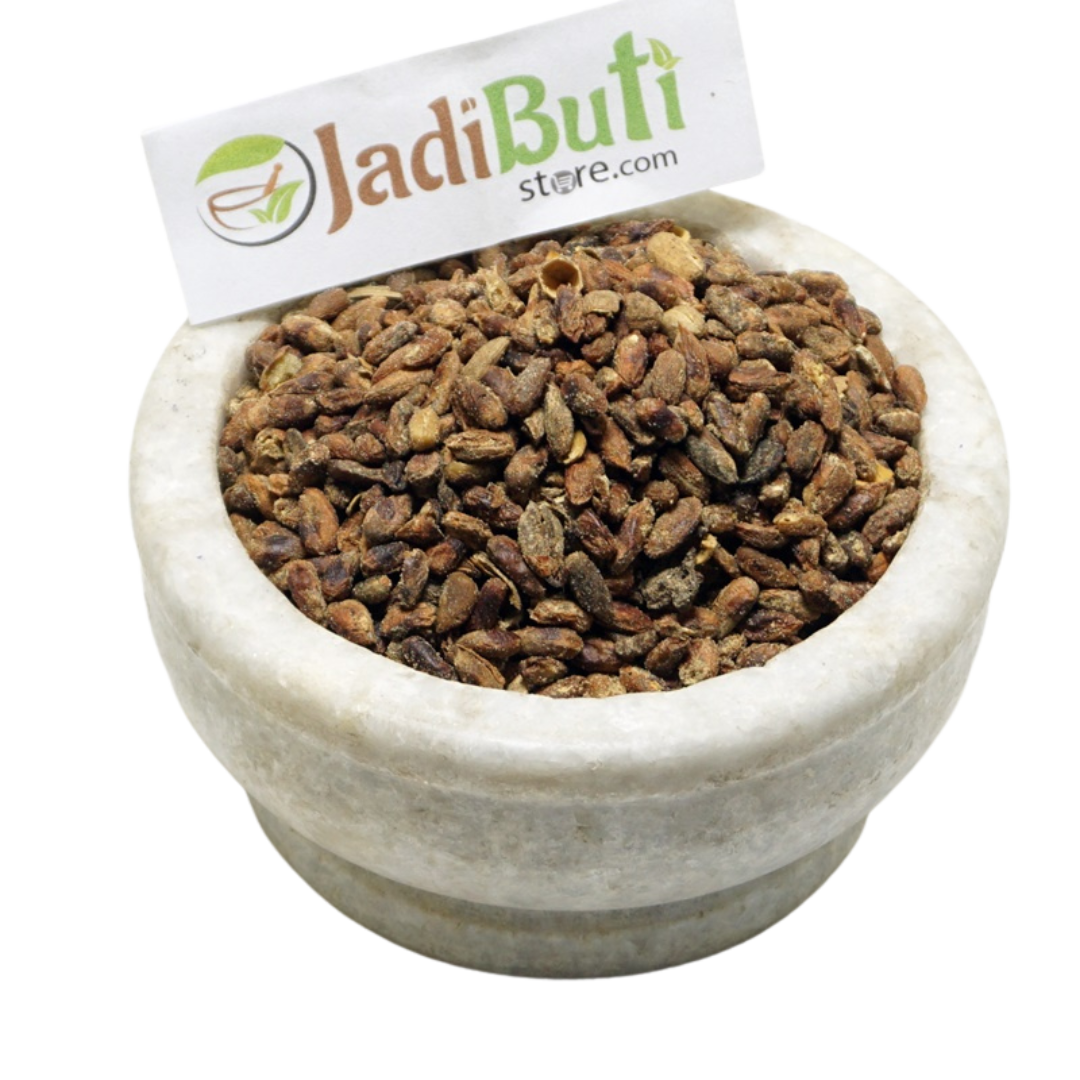 Neem Magaj / Neem seed kernel (Azadirachta indica) - Jadibuti Store