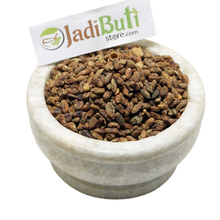 Neem Magaj - नीम मगज - Neem Seed - Azadirachta indica