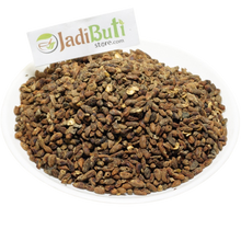 Neem Magaj - नीम मगज - Neem Seed - Azadirachta indica