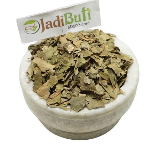 Neem Patta - नीम पत्ता - Indian Lilac - Melia azadirachta