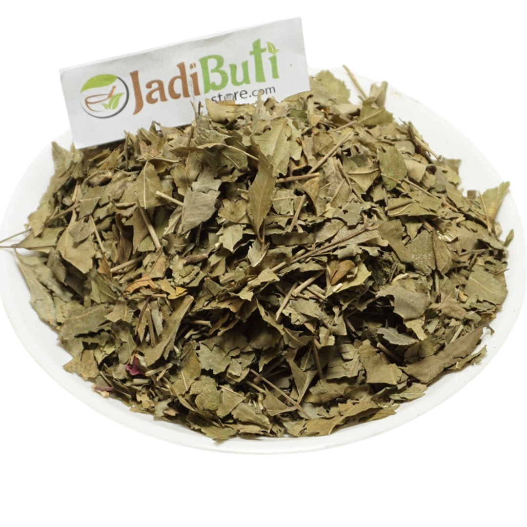 Natural dried Neem Leaves / Neem Patta on a white plate — Jadibuti Store