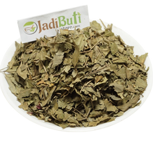 Neem Patta - नीम पत्ता - Indian Lilac - Melia azadirachta