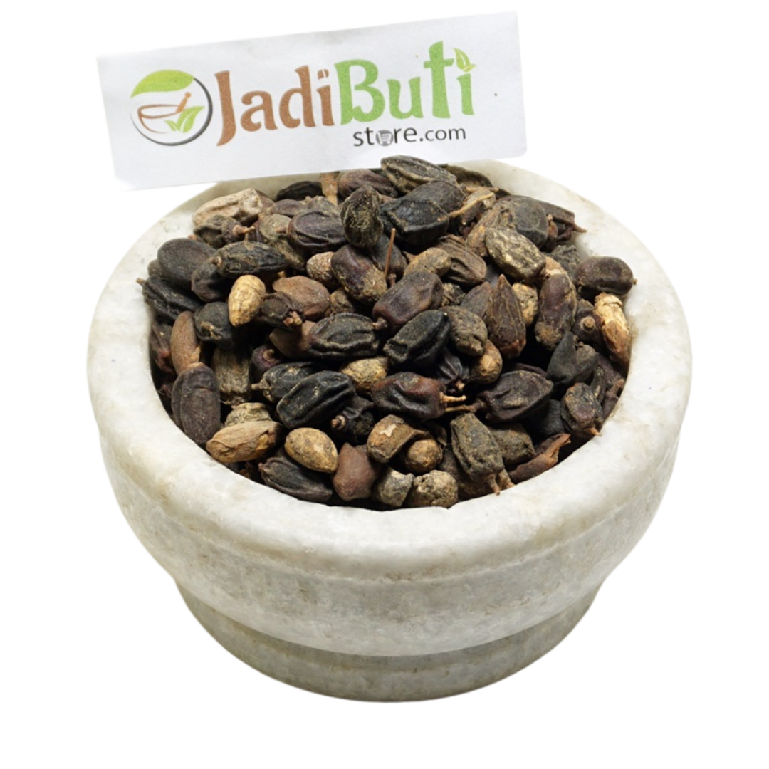 Nimboli - निम्बोली - Neem Seed - Azadirachta indica