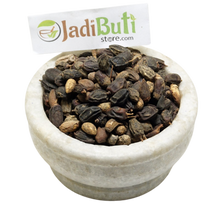 Nimboli - निम्बोली - Neem Seed - Azadirachta indica