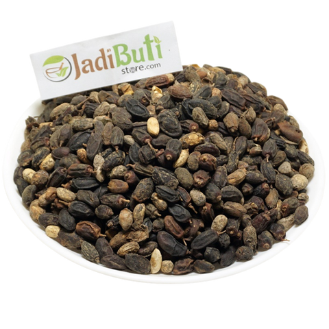 Nimboli / Neem Fruit-Seed | निम्बोली | Azadirachta indica | Material Check