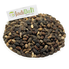 Nimboli - निम्बोली - Neem Seed - Azadirachta indica