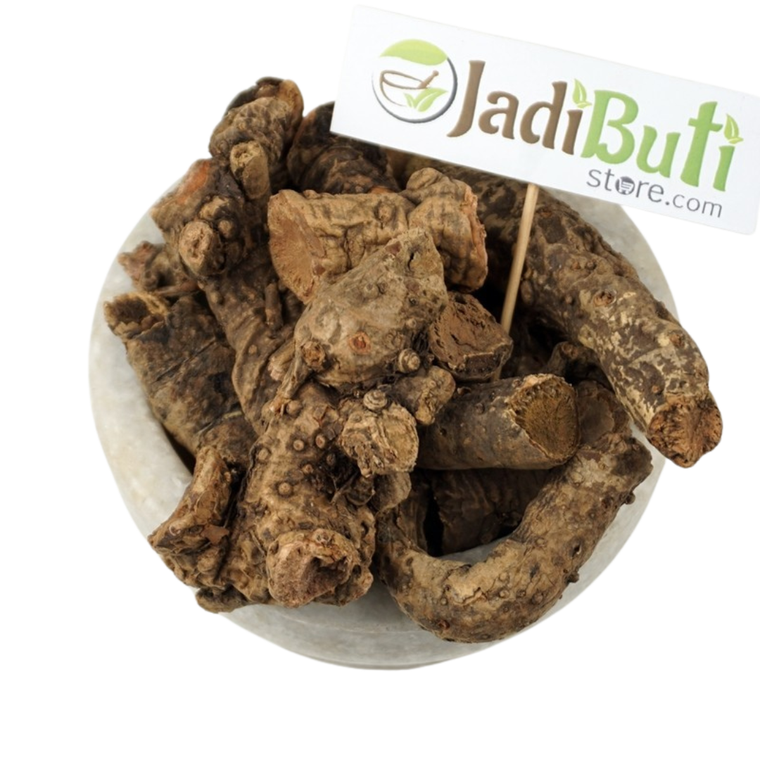 Pasaan Bhed rhizome (Bergenia ciliata) - Jadibuti Store