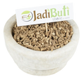 Pippalimool / Pipala Mool root (Piper longum) - Jadibuti Store