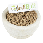 Pippalimool / Pipala Mool root (Piper longum) - Jadibuti Store