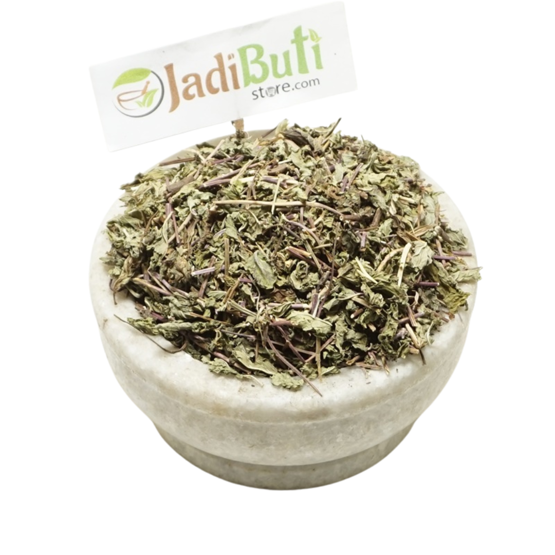 Pudina dried mint leaves - पुदीना - Mentha spicata