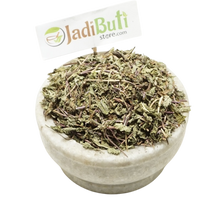 Pudina - पुदीना - Mint - Mentha piperita