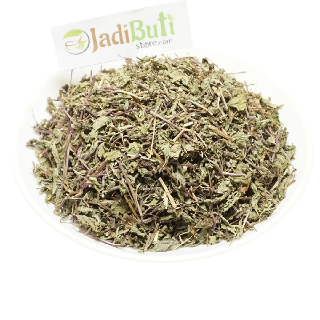 Natural dried Pudina mint leaves - Jadibuti Store