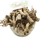 Punarnava beige-brown cut and branching dried root pieces in a stone bowl — Jadibuti Store