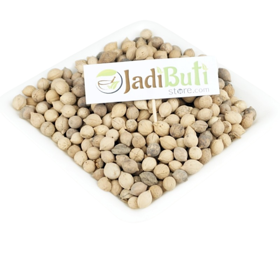 Putra Jeevak - Desmodium gangeticum