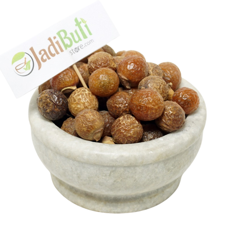 Reetha (Soapnut) | Natural & Powder | रीठा | Sapindus mukorossi