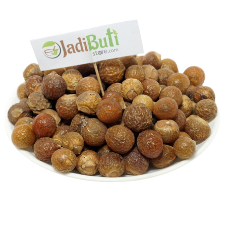 Reetha (Soapnut) | Natural & Powder | रीठा | Sapindus mukorossi