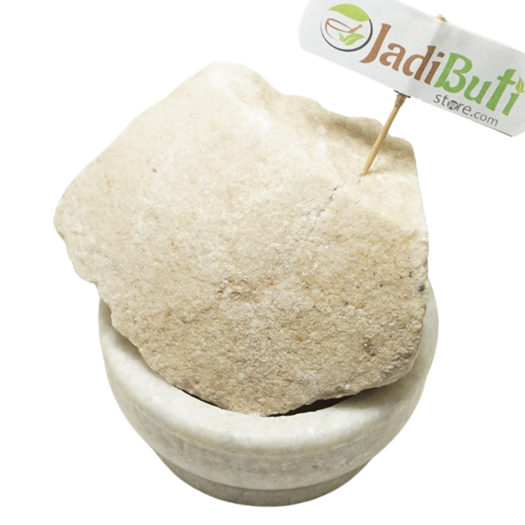 Sajjikhar - सज्जीखार - Haloxylon - Salsola stocksii