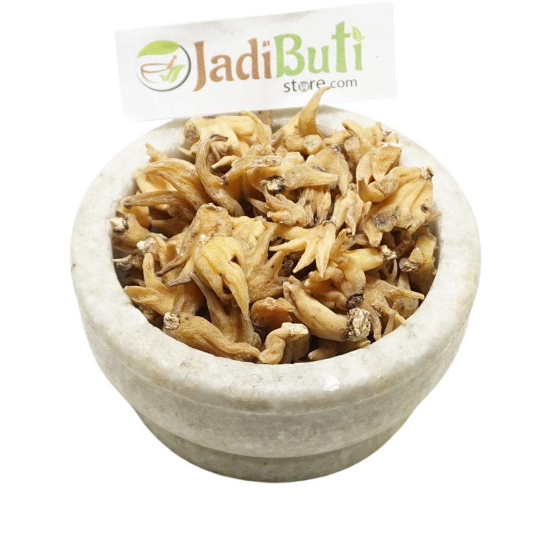 Salab Panja tan dried branched pieces in a stone bowl — Jadibuti Store
