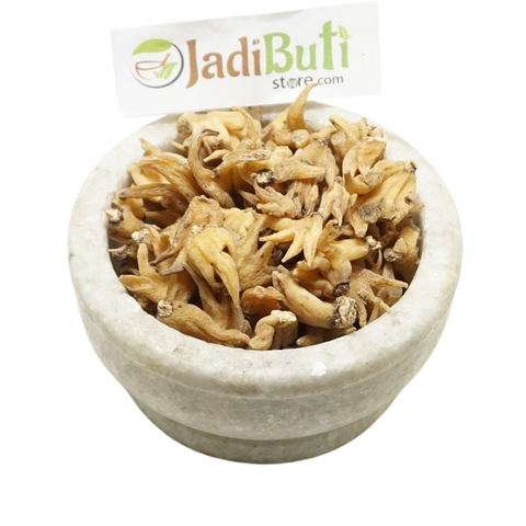 Salab Panja - सालब पंजा - Salep Orchid - Orchis latifolia