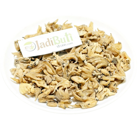 Salab Panja - सालब पंजा - Salep Orchid - Orchis latifolia