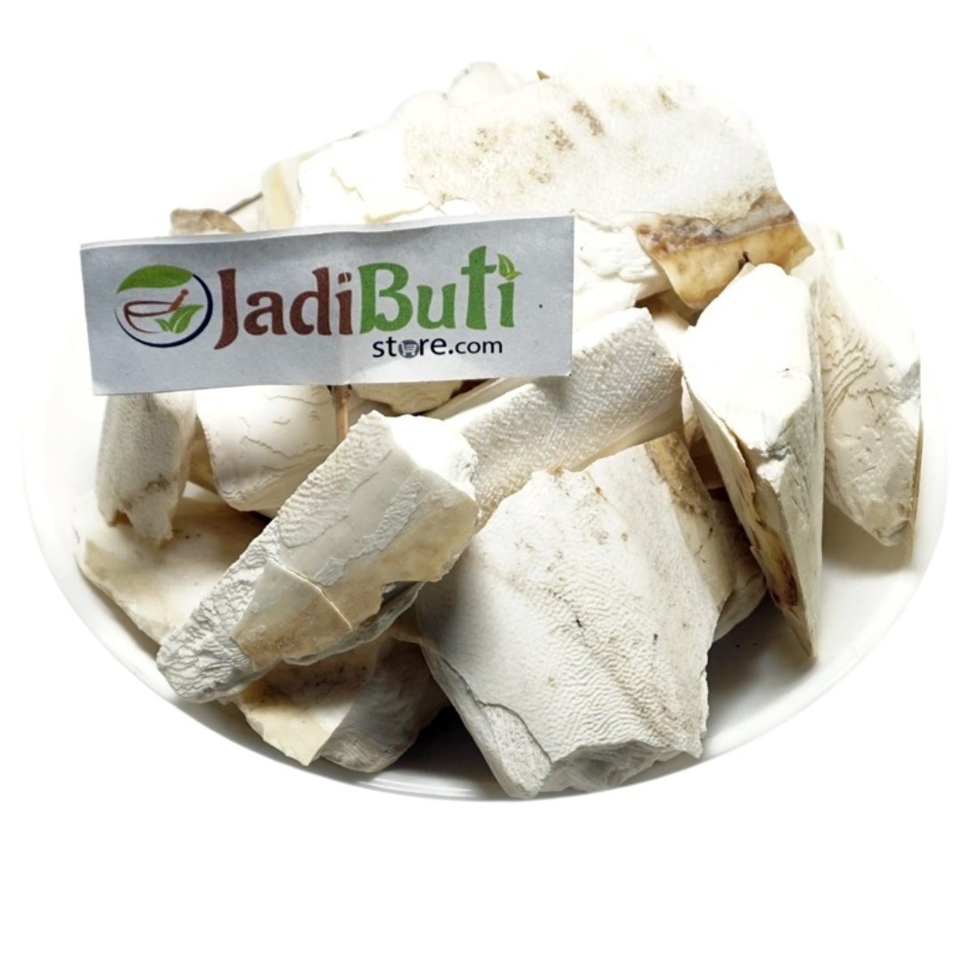 samudri jhaag - समुद्री झाग - Samunder Fen - Marine Foam