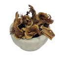 Semal Phool (सेमल फूल) flower product | Jadibuti Store product image 1
