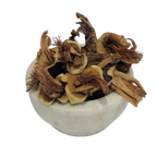 Semal Phool (सेमल फूल) flower product | Jadibuti Store product image 1