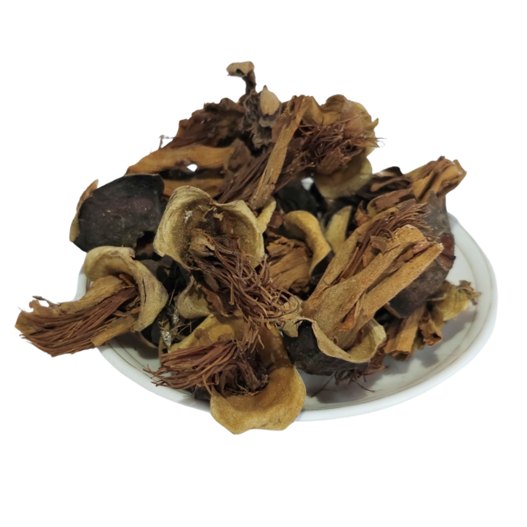 Semal phool - silk cotton tree - Bombax B. ceiba