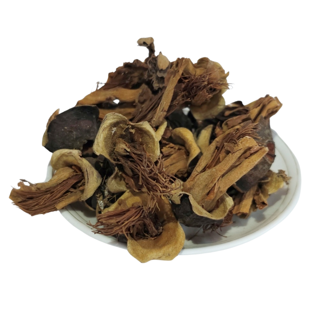 Semal Phool (सेमल फूल) flower product | Jadibuti Store product image 2