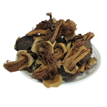 Semal phool - silk cotton tree - Bombax B. ceiba