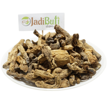 Shakakul mishri - शकाकुल मिश्री - Wild Parsnip - Pastinaca sativa