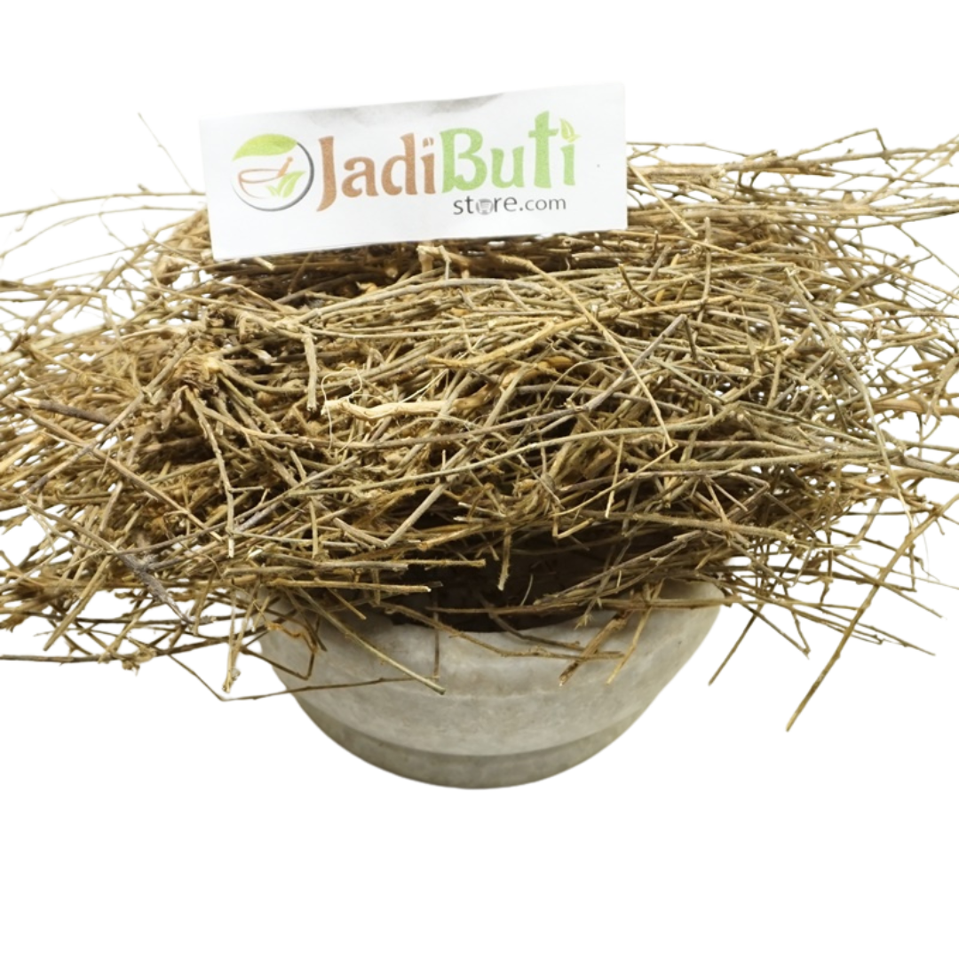 Shankhpushpi raw plant material, species pending | Jadibuti Store image 1