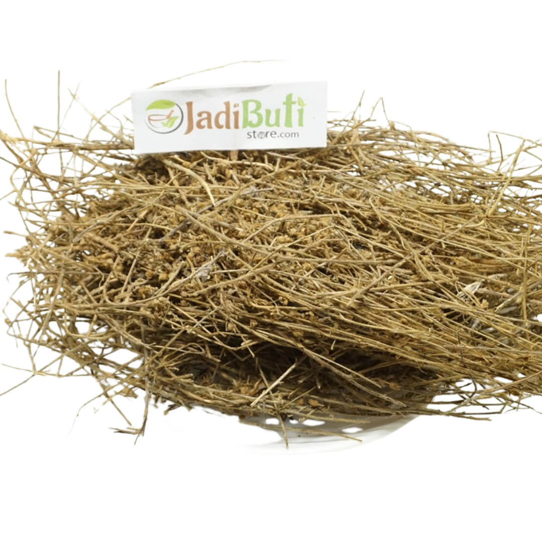 Shankhpushpi raw plant material, species pending | Jadibuti Store image 2