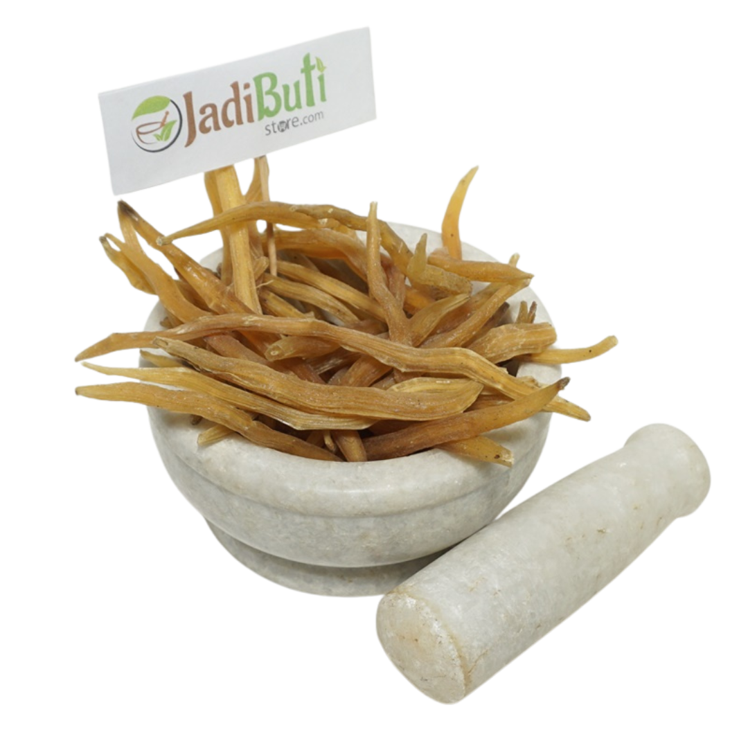Shatavari dried roots in a mortar with pestle - Jadibuti Store