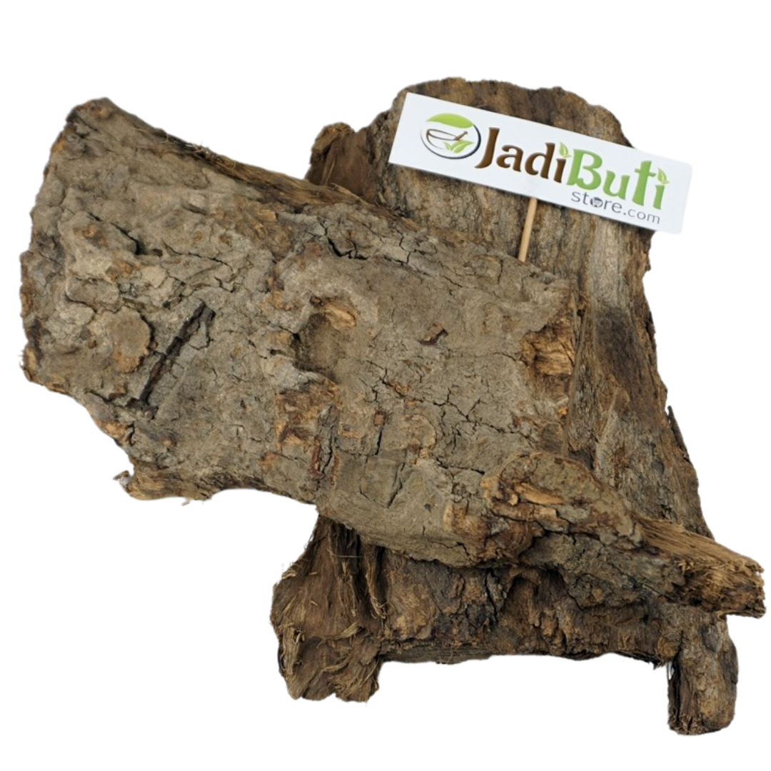 Shyonak plant material, part pending | Jadibuti Store image 2