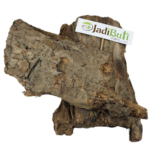 Shyonak - Oroxylum indicum