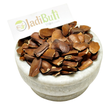 Sugar Badam - शुगर बादाम - Diabetes Almond - Swietenia Macrophylla