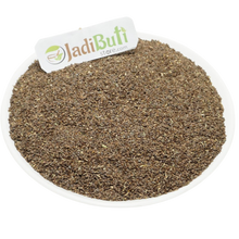 Talmakhana - तालमखाना - Hygrophilia - Astercantha Longifolia