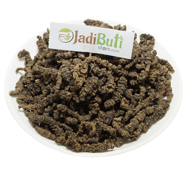 Tagar - तगर - Sugandh bala - Valeriana wallichii DC – Jadibuti Store